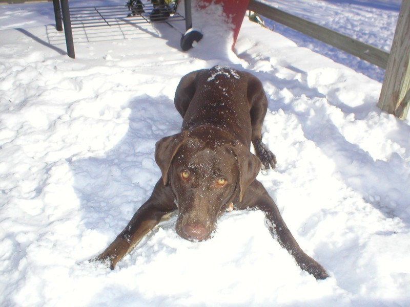 Katie playing in the snow.jpg